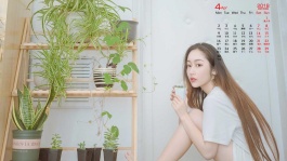 蛇仙狐仙真实故事[蓝光]