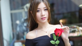 56动漫大全[免费]
